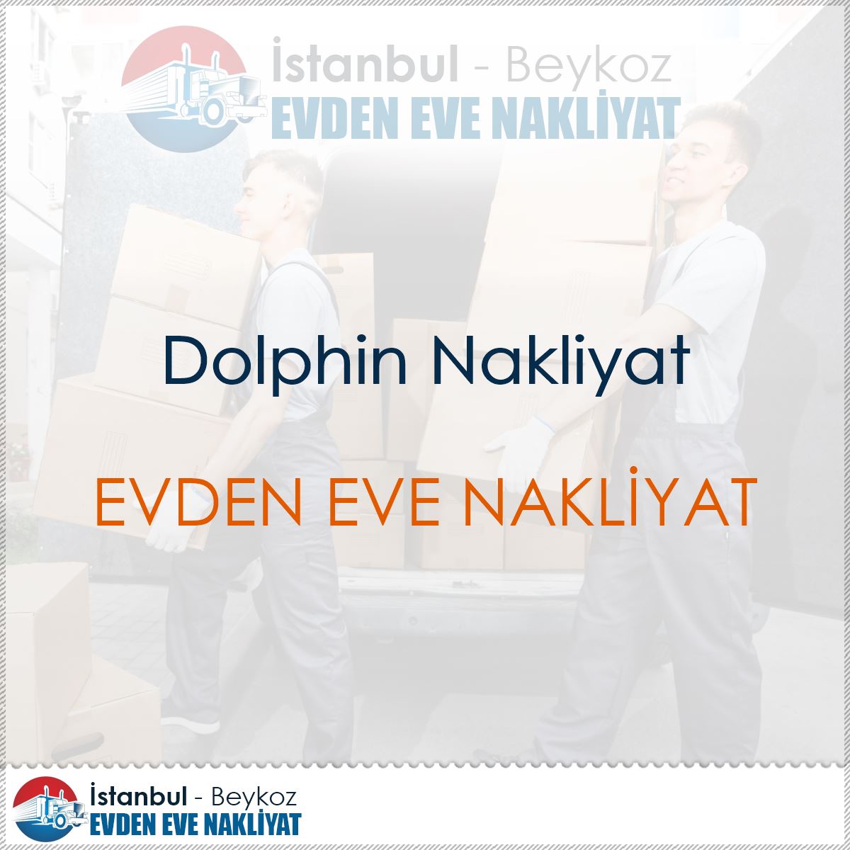 Dolphin Nakliyat logo