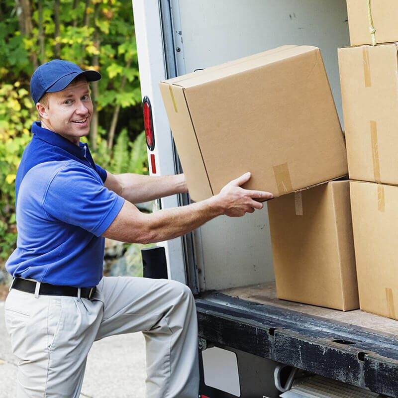 Sigortasız Hizmet: Sektöre Zararlı! : Kapak Görseli